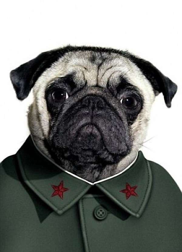 Mao Tse-tung - Dog Disguisefamous person faces celebrity animal funny